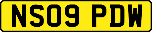 NS09PDW