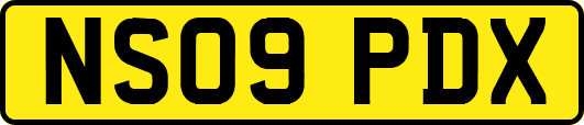 NS09PDX