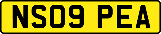 NS09PEA
