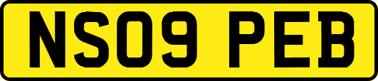 NS09PEB