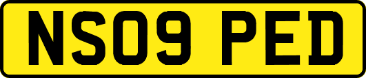 NS09PED