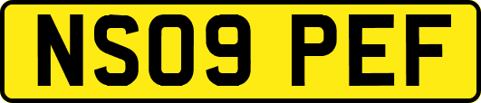 NS09PEF