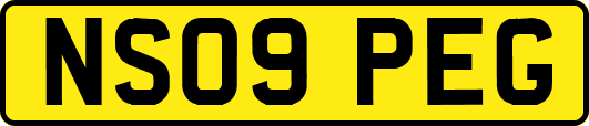 NS09PEG
