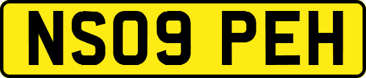 NS09PEH