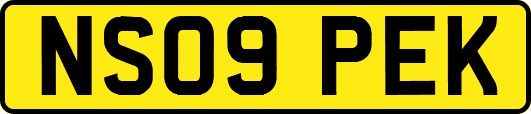 NS09PEK