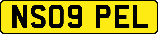 NS09PEL
