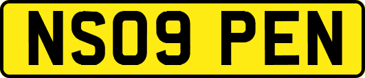 NS09PEN