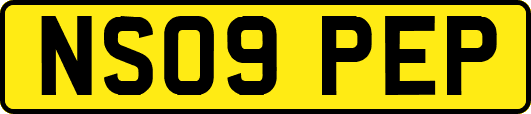 NS09PEP
