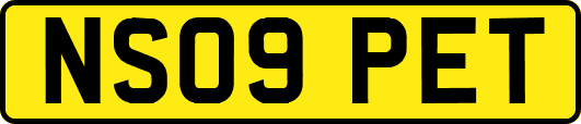 NS09PET
