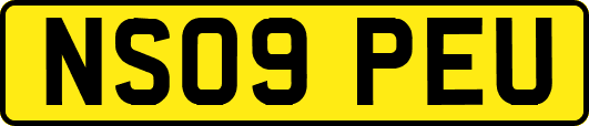NS09PEU