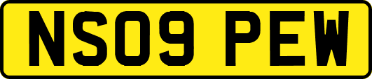 NS09PEW