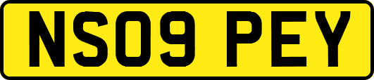 NS09PEY