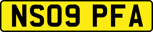 NS09PFA