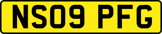 NS09PFG