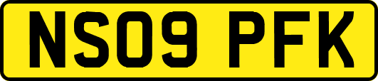 NS09PFK