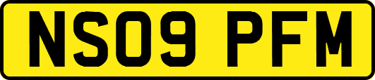 NS09PFM