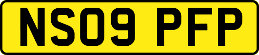 NS09PFP