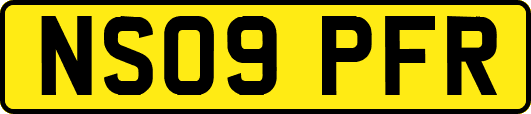 NS09PFR