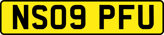 NS09PFU