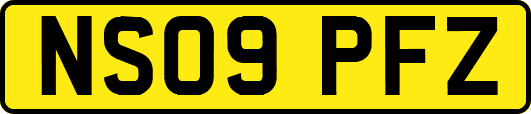 NS09PFZ