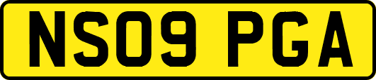 NS09PGA