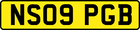 NS09PGB
