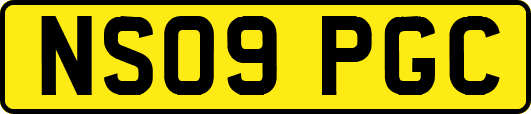 NS09PGC