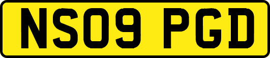 NS09PGD