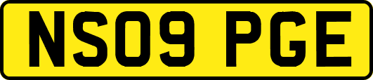 NS09PGE