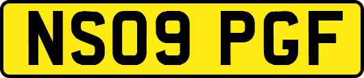 NS09PGF