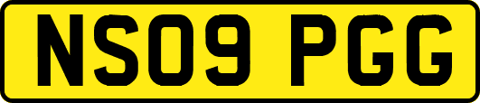 NS09PGG