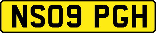 NS09PGH