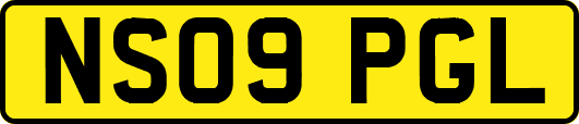 NS09PGL