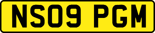 NS09PGM
