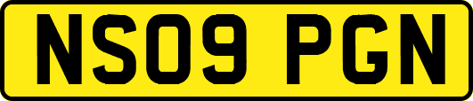 NS09PGN