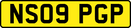 NS09PGP