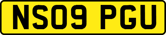 NS09PGU