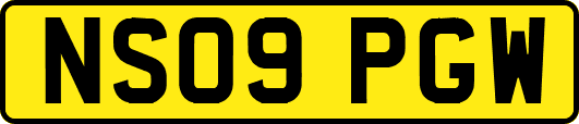 NS09PGW