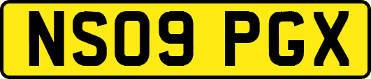 NS09PGX