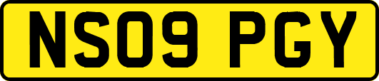 NS09PGY