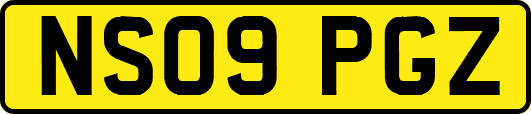 NS09PGZ