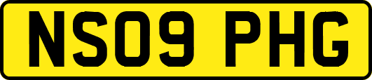 NS09PHG