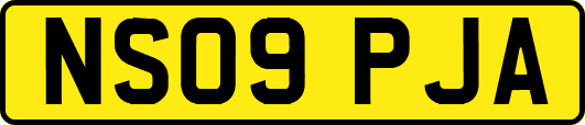 NS09PJA