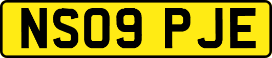 NS09PJE