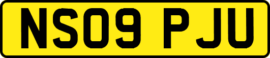 NS09PJU