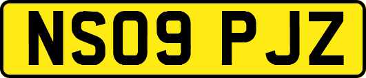 NS09PJZ