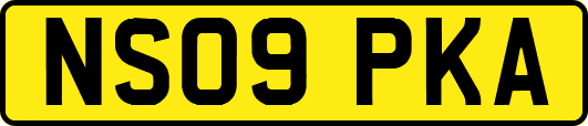 NS09PKA