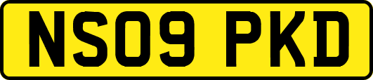 NS09PKD