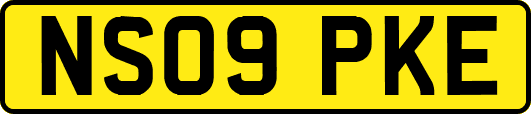 NS09PKE