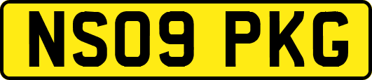 NS09PKG